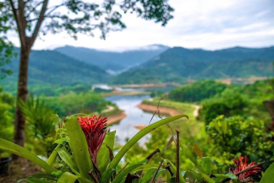 Baanhatsompaen Homestay Ranong Kültér fotó